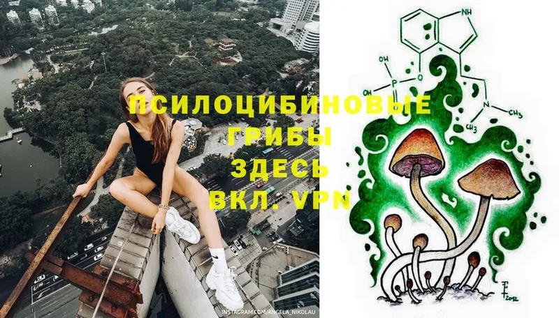 blacksprut как зайти  Микунь  Галлюциногенные грибы Psilocybe  цены  